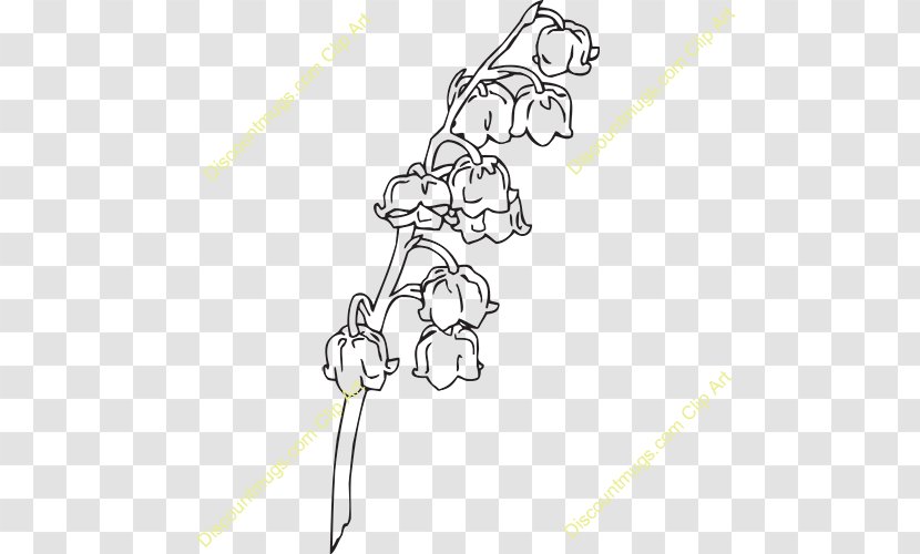 Drawing Line Art - Cartoon - Lily Of The Valley Transparent PNG