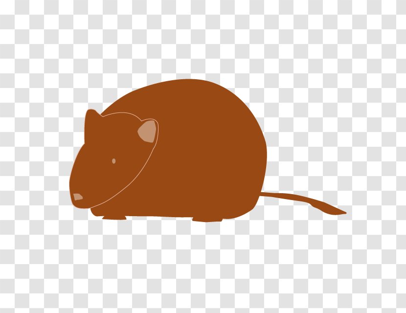 Illustration Clip Art Gerbil Image - Paper - Rat Transparent PNG