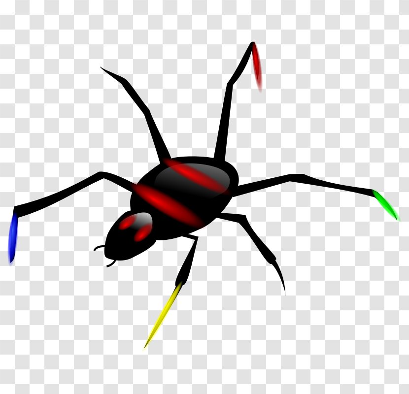 Spider Clip Art - Insect - Illustration Transparent PNG