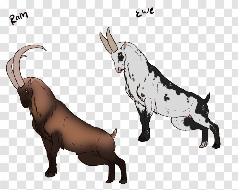 Cattle Dog Goat Horse Pig - Ibex Ram Transparent PNG