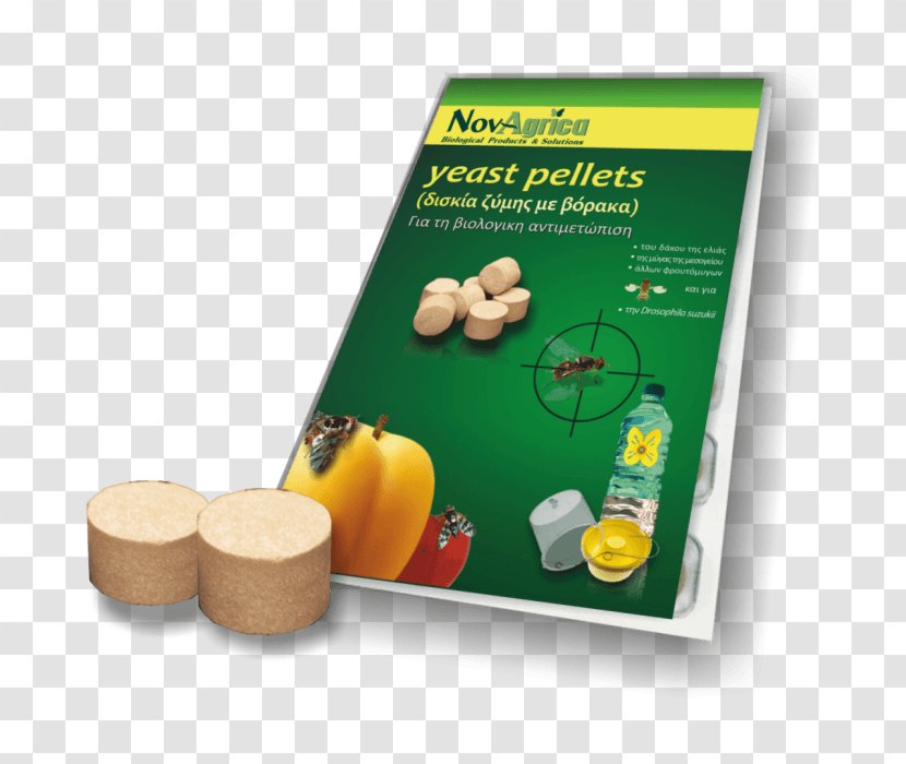 Olive Fruit Fly Torula Yeast Food - Bactrocera - Entomopathogenic Nematode Transparent PNG