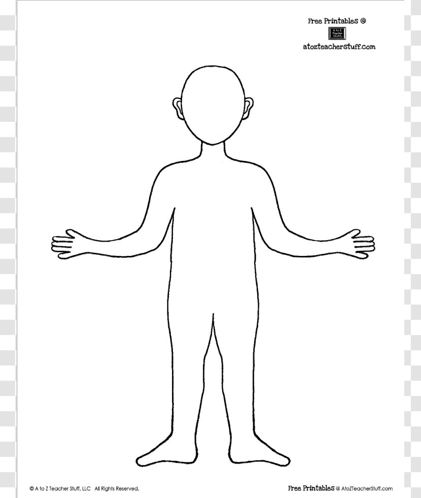 Human Body Template Drawing Face Clip Art - Flower - Outline Cliparts Transparent PNG