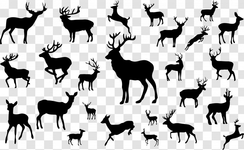 Reindeer Silhouette - Animal - Deer Silhouettes Transparent PNG