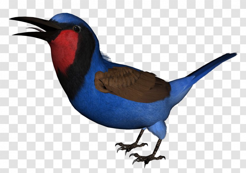 Bird Clip Art - Wildlife - Blue Transparent PNG