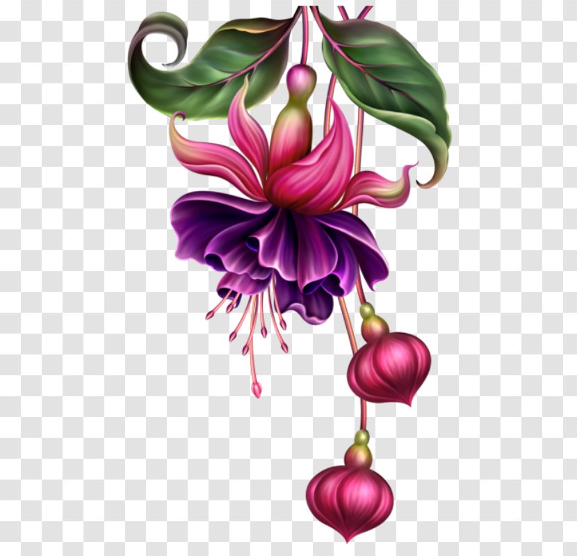 Fuchsia Watercolor Painting Digital Pin - Color Transparent PNG