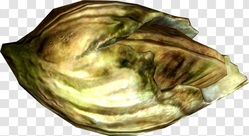 The Elder Scrolls V: Skyrim – Dragonborn Barnacle Ingredient Wiki Transparent PNG