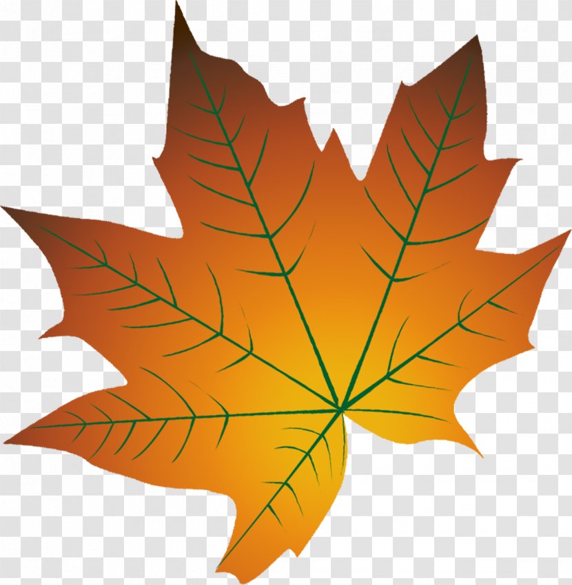 Autumn Leaf Color Cartoon - Leaves Yellow Of Deciduous Transparent PNG