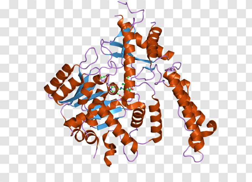 Methionine Glutamate Decarboxylase Aminopeptidase METAP2 GAD2 - Enzyme Transparent PNG