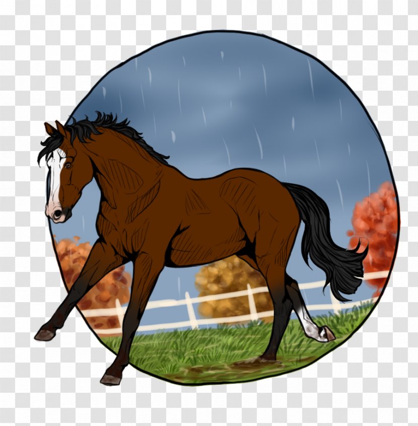 Foal Stallion Mustang Mare Colt - Vertebrate - Cool Autumn Days Transparent PNG