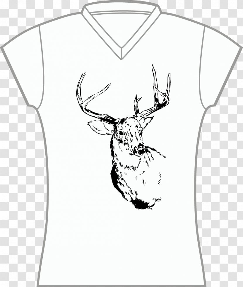 White-tailed Deer Reindeer Antler Art - Flocks Transparent PNG