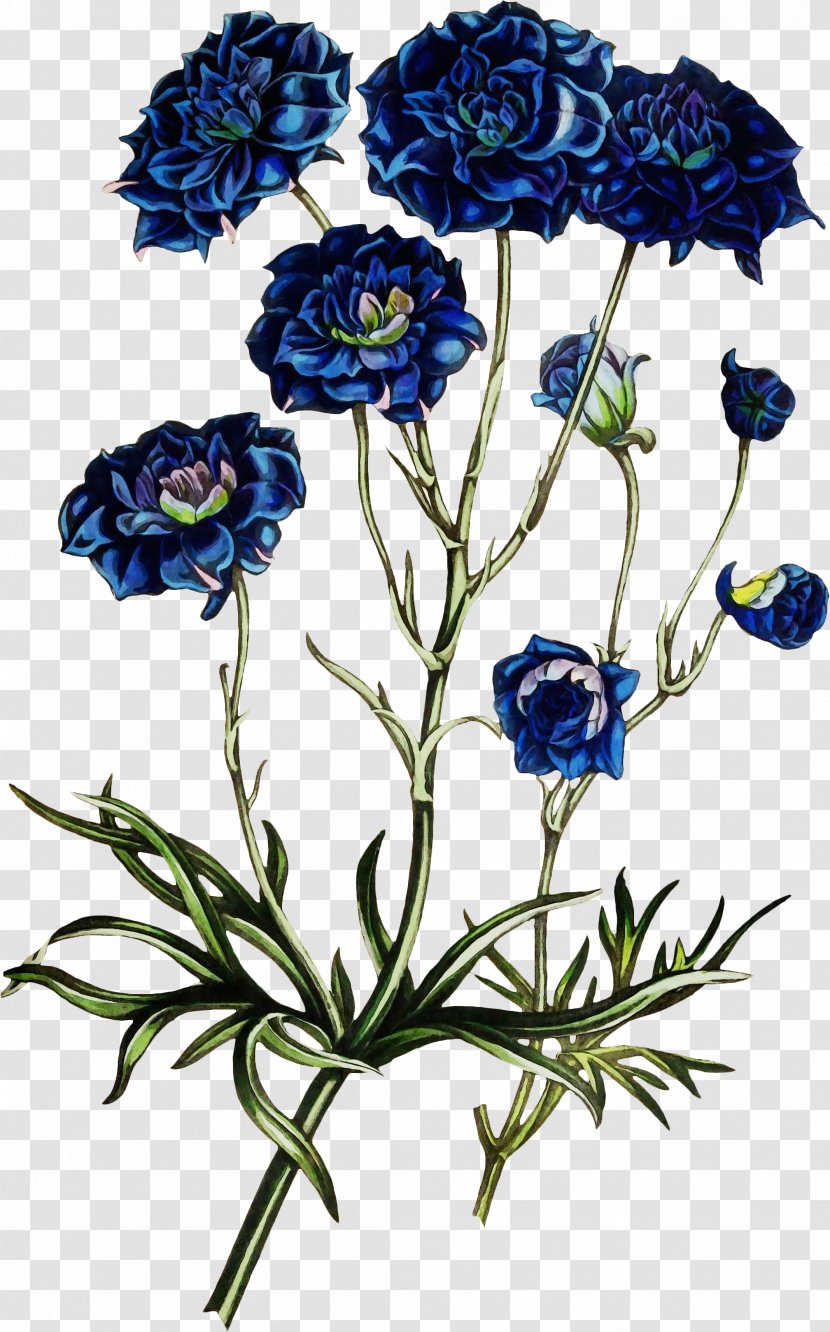 Flower Plant Cut Flowers Wildflower Petal - Paint - Monkshood Delphinium Transparent PNG