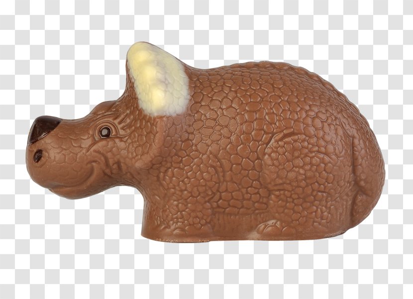 Snout Terrestrial Animal - Rhinoceros Beetle Transparent PNG