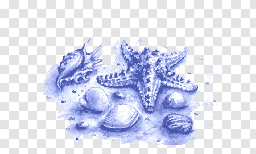 Watercolor Painting Marine Biology Sea Illustration - Organism - Vector Blue Conch Transparent PNG