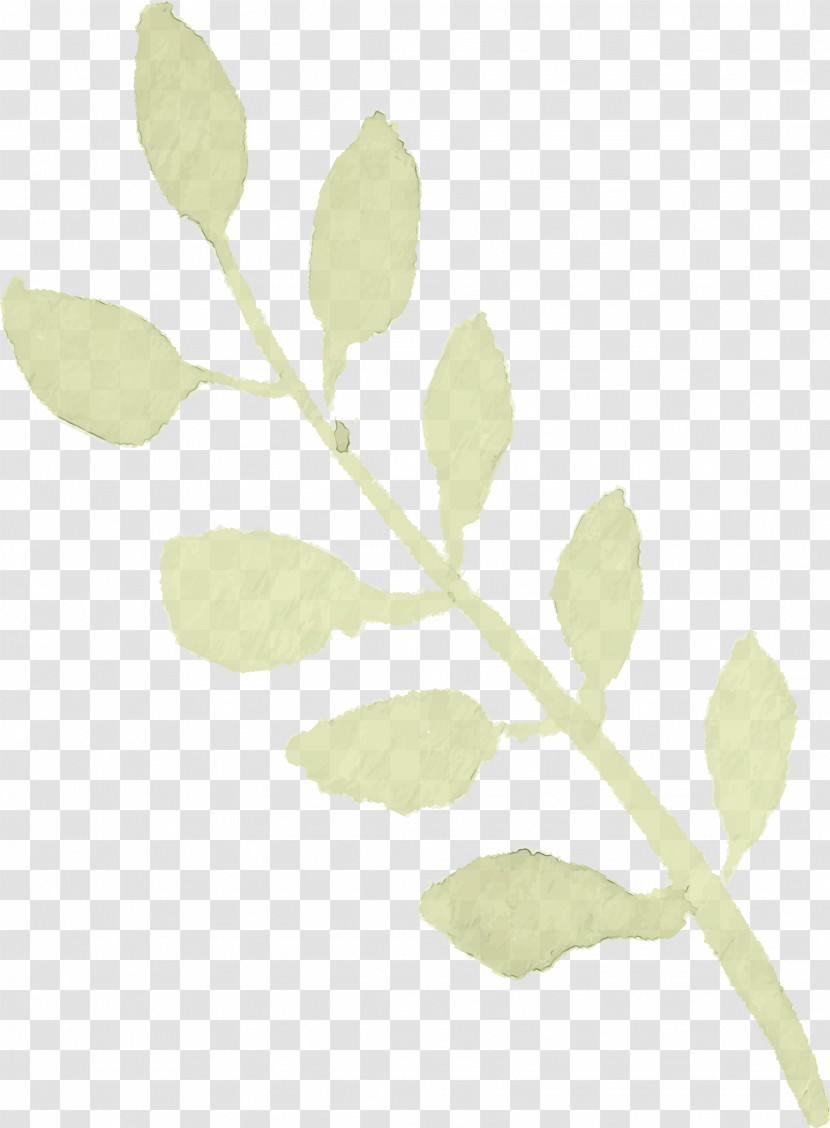 Leaf Flower Twig Branch Plant Transparent PNG