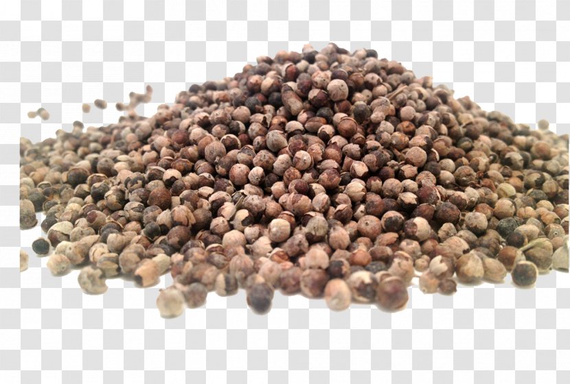 Seed Chaste Tree Herb Anaphrodisiac Verbenas - Bean - Vitex Transparent PNG