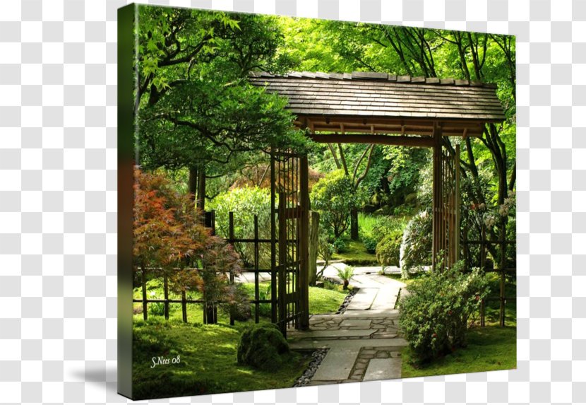 Pergola Landscape Backyard Gazebo Japanese Garden - Meter - Tree Transparent PNG