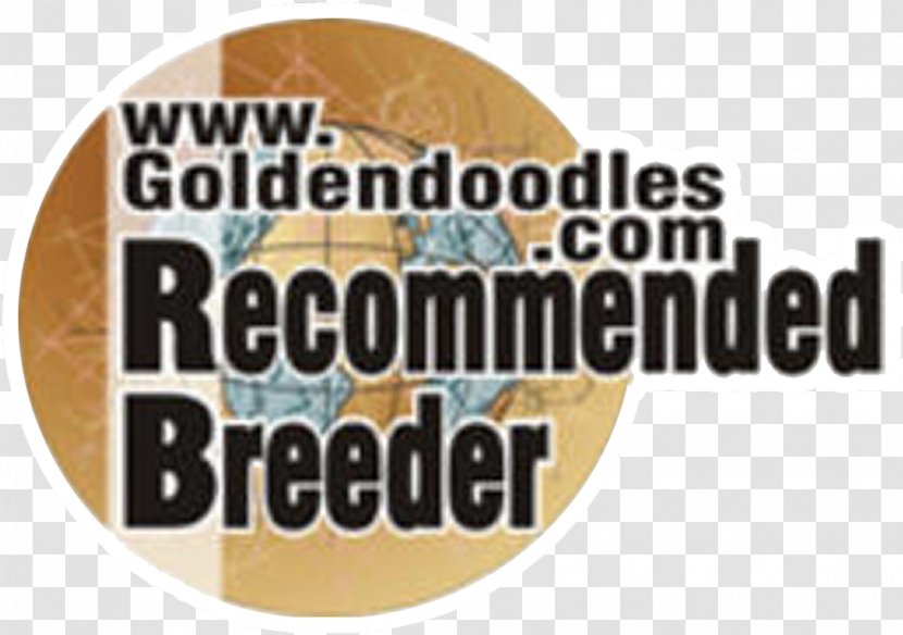Goldendoodle Labradoodle Poodle Cavapoo Puppy Transparent PNG