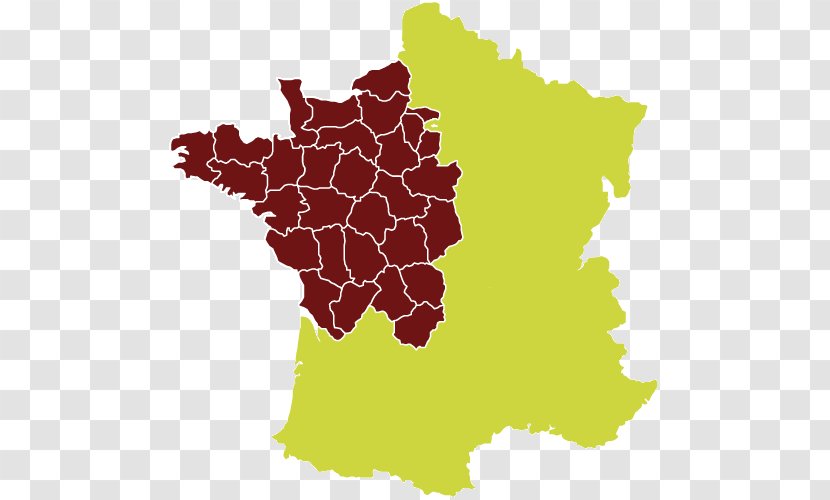 Bordeaux Regions Of France Map Vector Graphics - Vitis - Grape Transparent PNG