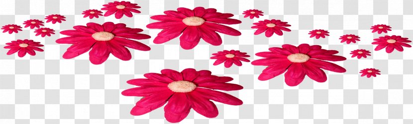 Flower Fuchsia - Petal Transparent PNG