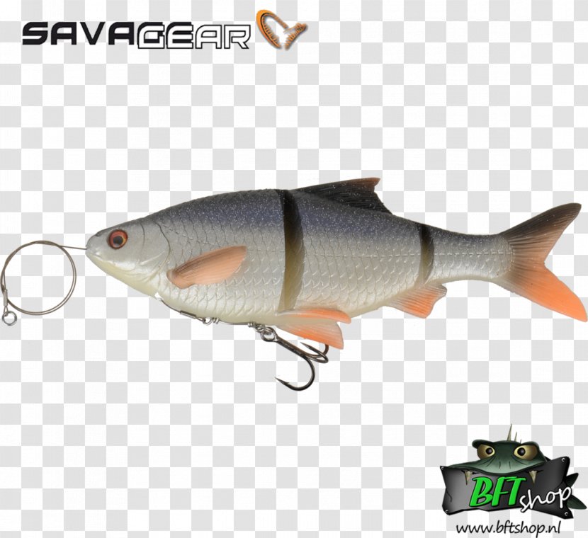Northern Pike Fishing Baits & Lures Predatory Fish Tackle - Roach Transparent PNG