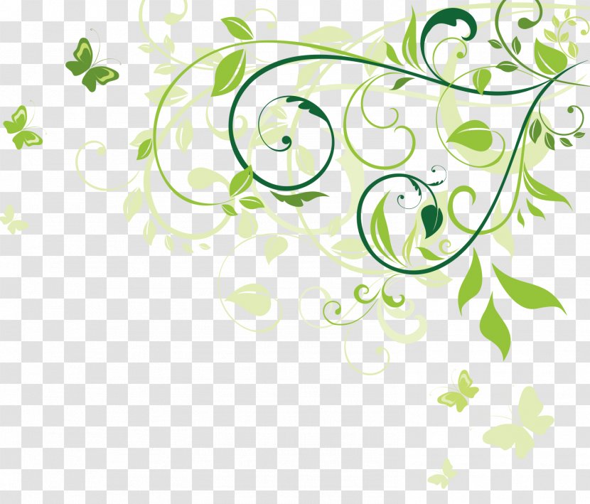 Green Euclidean Vector - Area - Leaf Pattern Transparent PNG