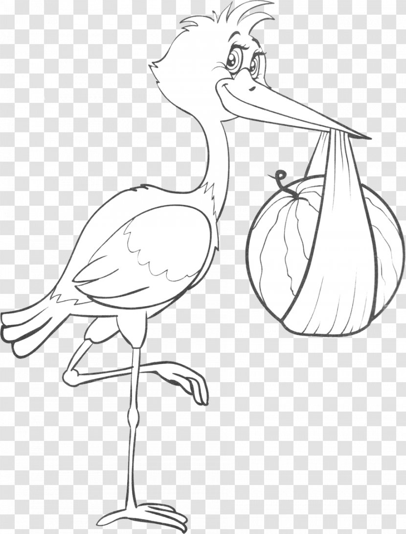 Bird Drawing Line Art Chicken - Arm - Stork Transparent PNG