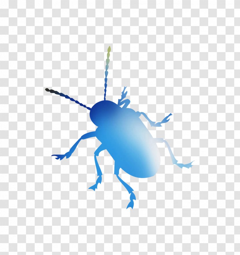 Weevil Beetle Desktop Wallpaper Font Computer - Membrane Transparent PNG
