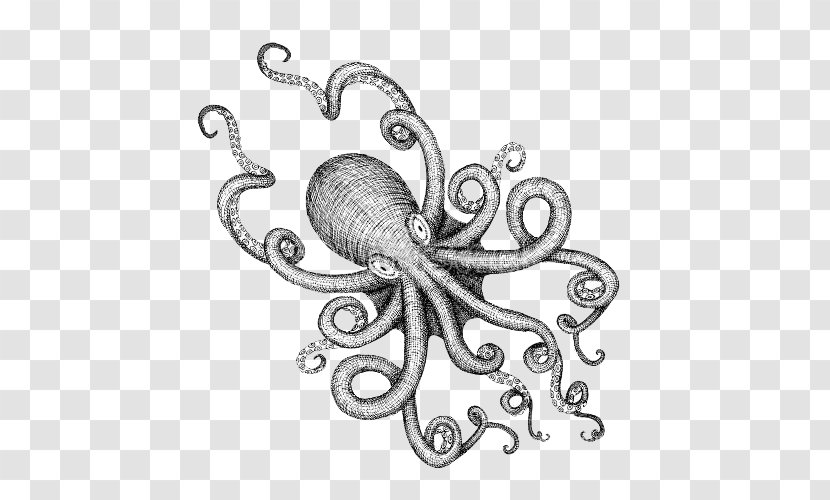 Octopus Drawing Sea Monster Illustration - Monochrome - Black And White Cartoon Illustrations Transparent PNG