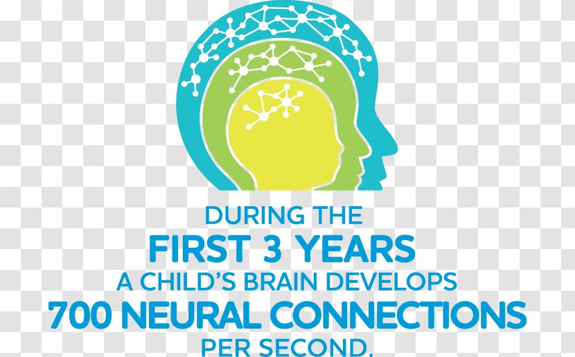 Child Development Infant Early Childhood Brain Transparent PNG