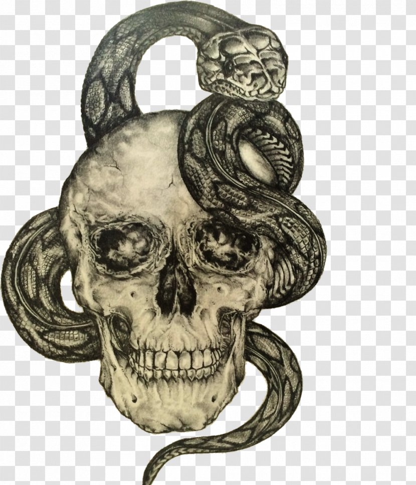 Human Skull Symbolism Drawing Art - Symbol - Snake Clipart Transparent PNG