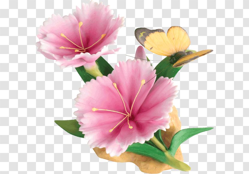 Lily Of The Incas Mallows Cut Flowers Pink M - Mallow Family - Flower Image Transparent PNG