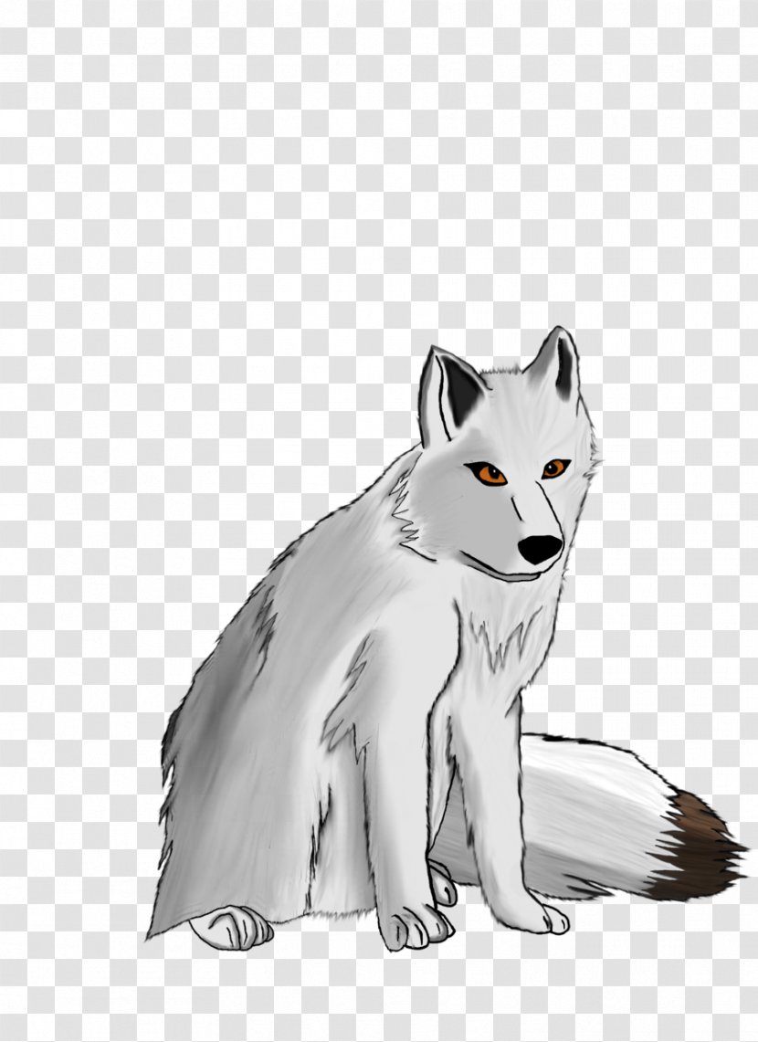 Arctic Fox Gray Wolf Drawing - Cat Like Mammal Transparent PNG