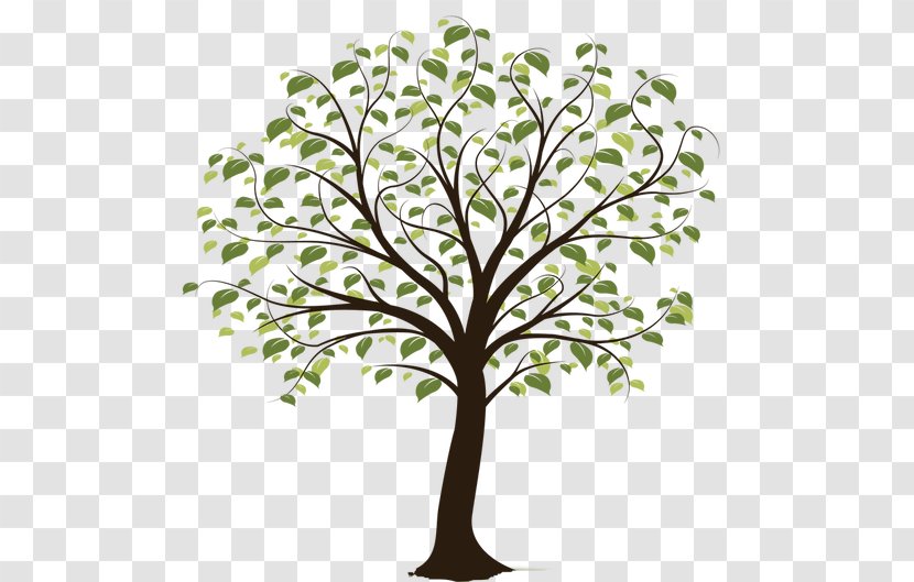 Tree Clip Art - Twig Transparent PNG