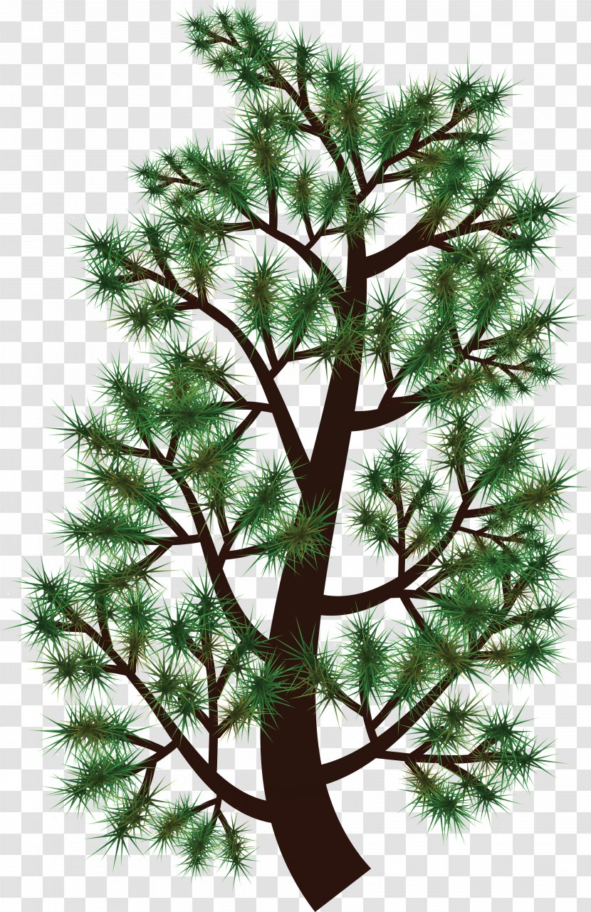 Pine Tree Branch Fir Clip Art - Evergreen Transparent PNG