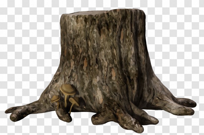 Tree Stump - Paint - Furniture Plant Transparent PNG