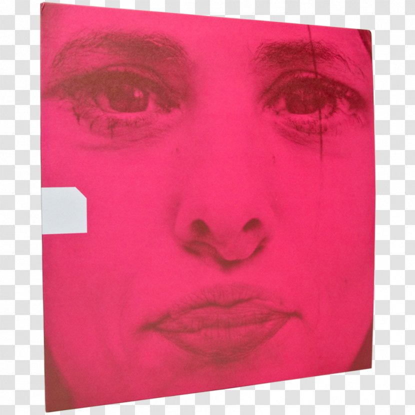 Visual Arts Portrait Picture Frames Nose - Red Transparent PNG