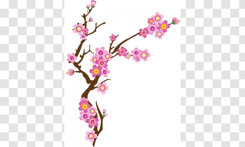 National Cherry Blossom Festival Flower - Cut Flowers Transparent PNG