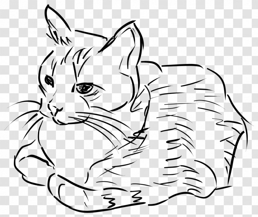 Cat Drawing Line Art Clip - Monochrome Transparent PNG