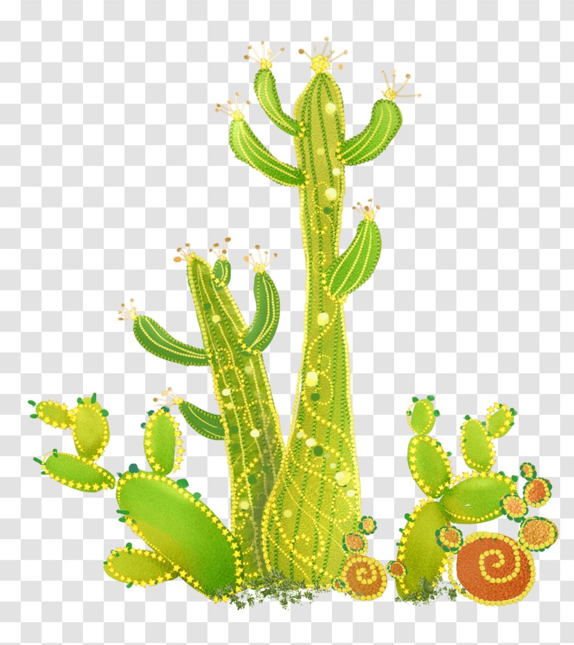 Cactus Image Cartoon Drawing - Nepenthes Transparent PNG