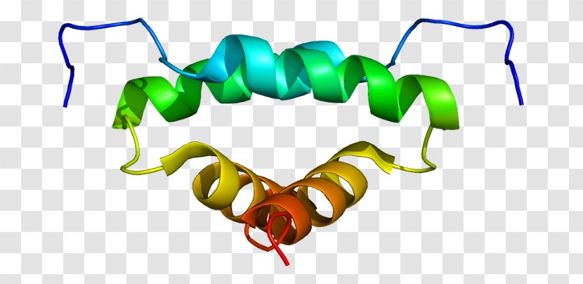 A-kinase-anchoring Protein AKAP13 Kinase A Subunit - Frame - Flower Transparent PNG