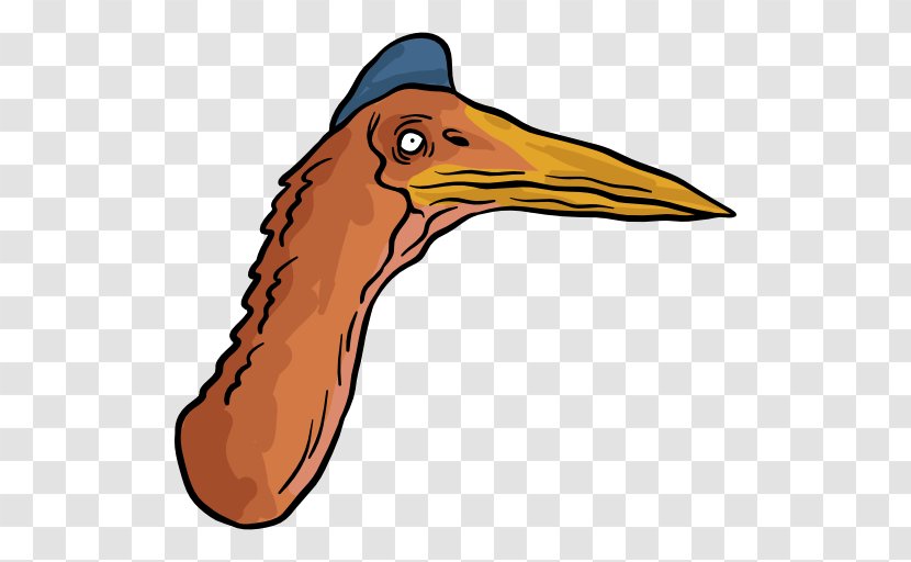 Beak Water Bird Cartoon Clip Art Transparent PNG