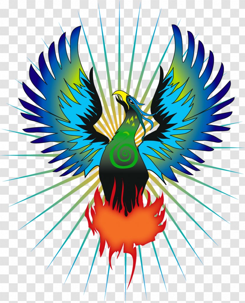 Phoenix Ibong Adarna Firebird Simurgh - Organism - Birds Transparent PNG