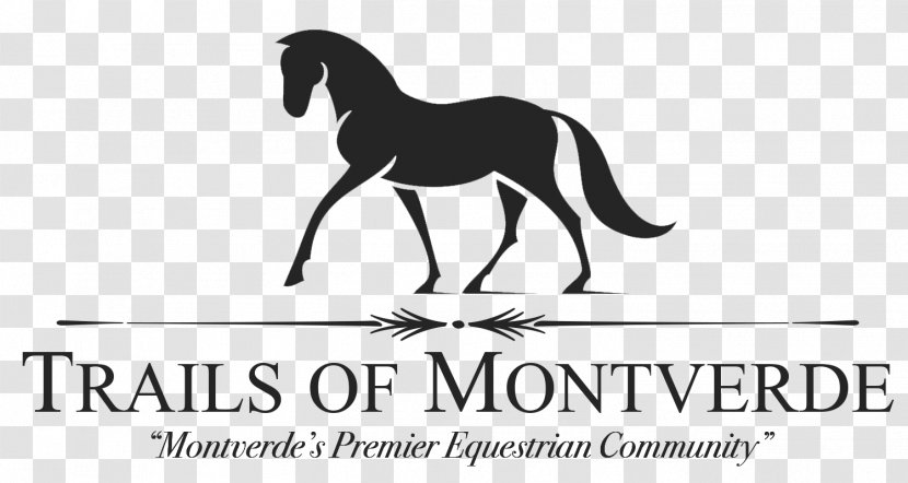Mustang Black Horse Inn Pony Stallion Logo Transparent PNG