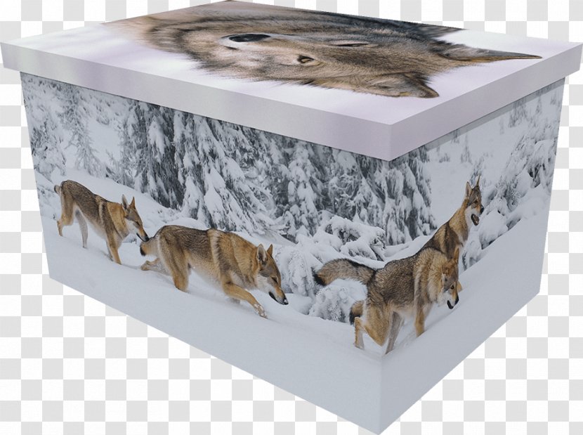 Coffin Pet Box Horse Dog - Cardboard - Creative Kitten Transparent PNG