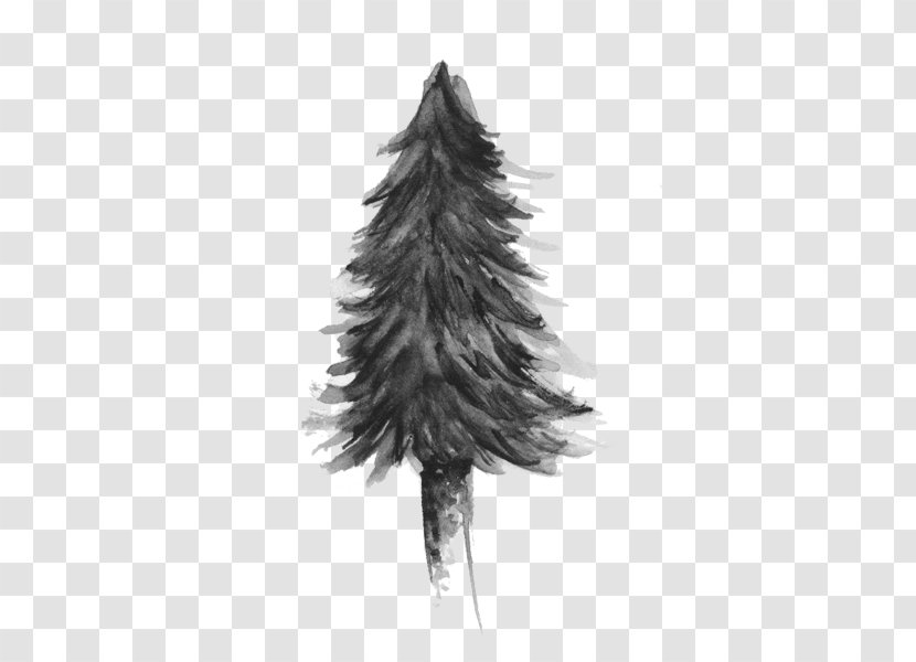 Graphic Design Columbia Christmas Tree Brand Transparent PNG