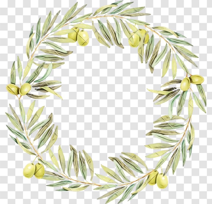 Watercolor Christmas Wreath - White Pine - Decoration Vascular Plant Transparent PNG