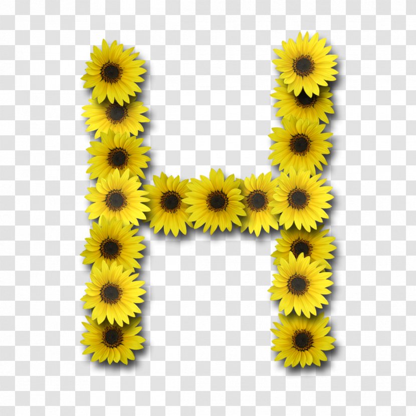 Letter Case Alphabet - Daisy Family - Sunflower Transparent PNG