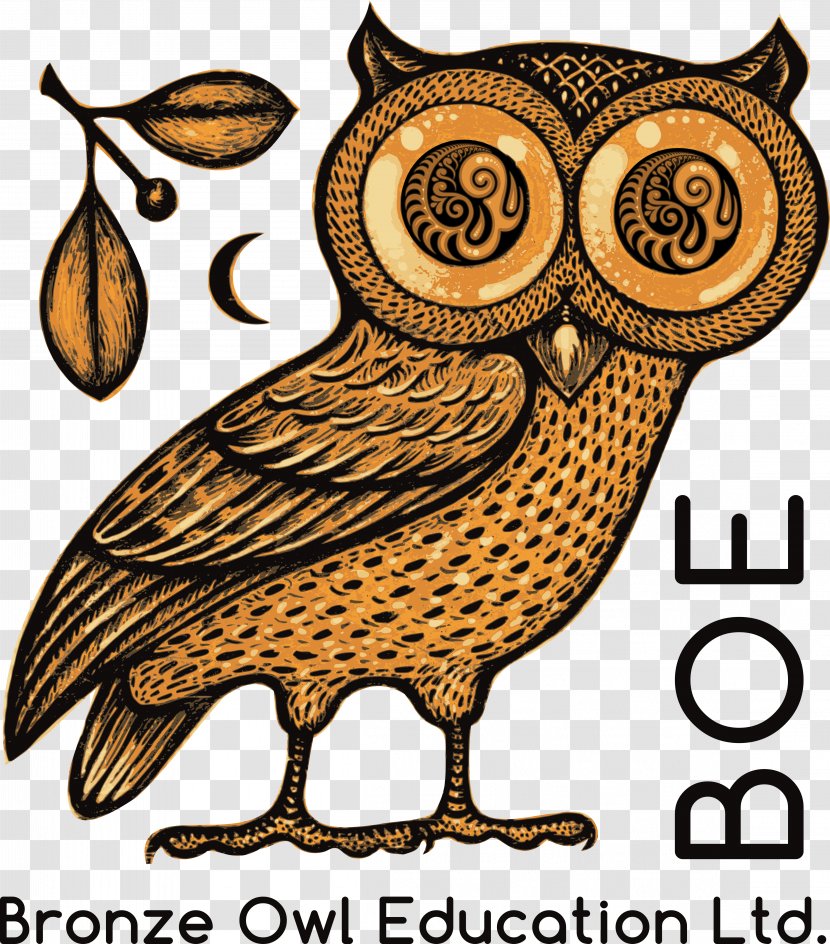Owl Of Athena Classical Athens Greek Mythology - Ancient Coinage Transparent PNG