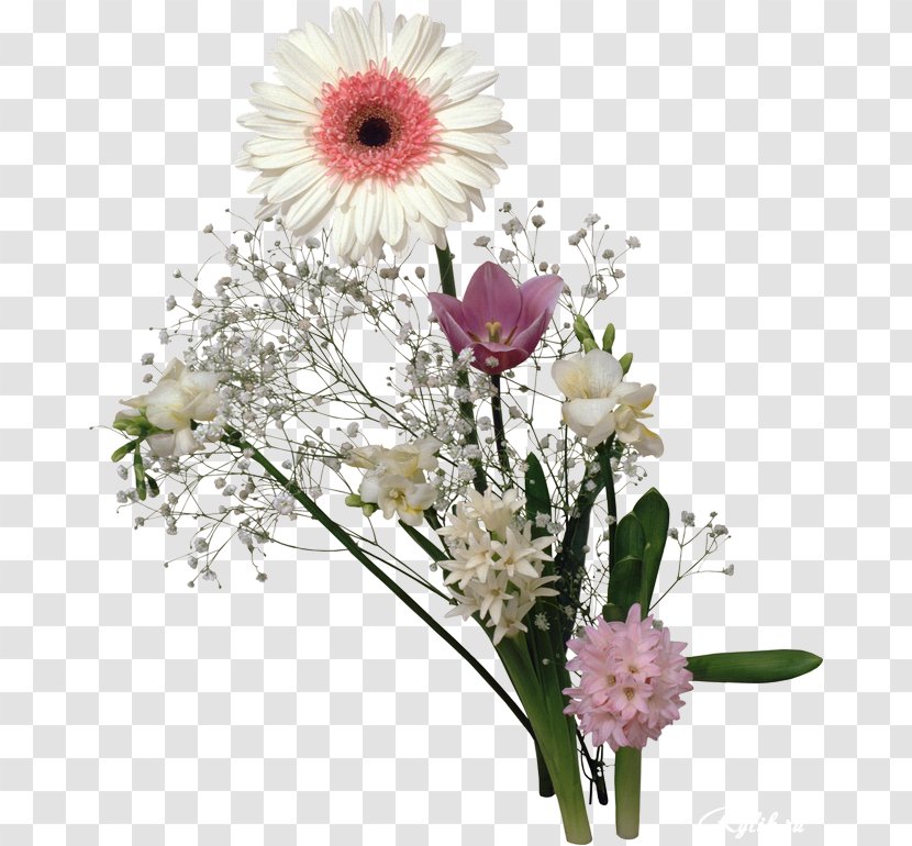 Floral Design Transvaal Daisy Cut Flowers Chrysanthemum - Family Transparent PNG