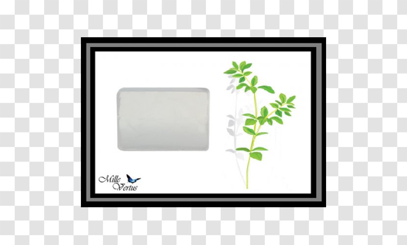 Leaf Picture Frames Rectangle Tree - Green - Glycerin Soap Transparent PNG